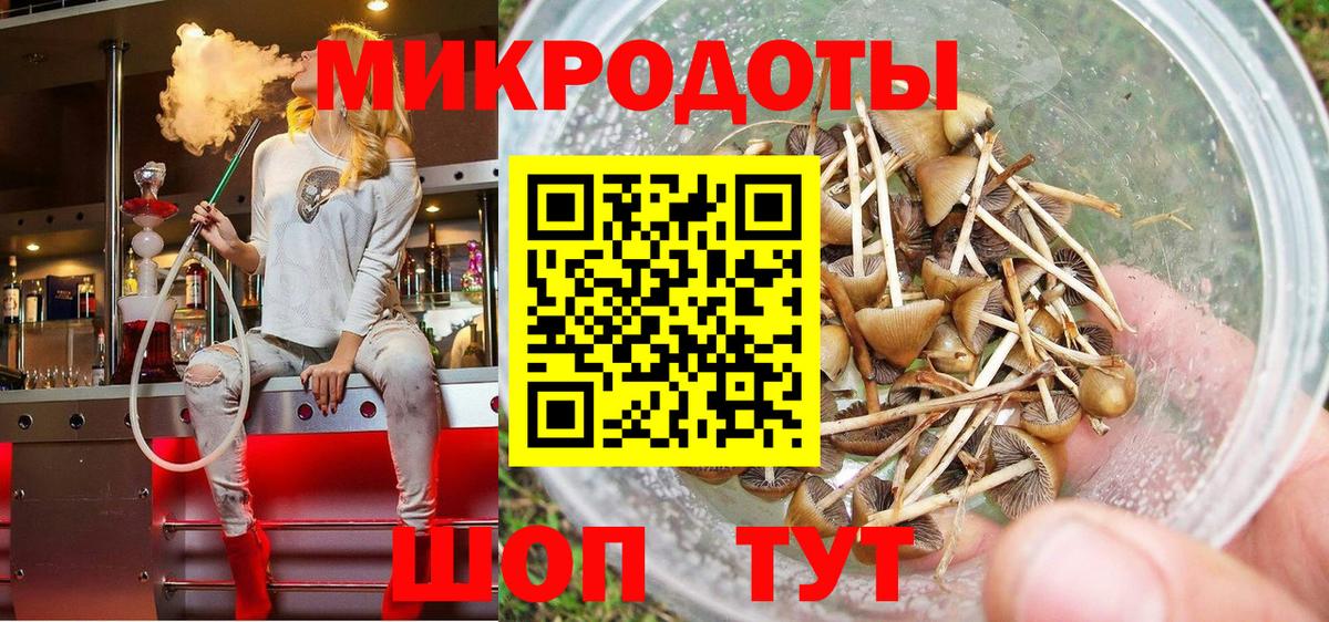 Асино  Галлюциногенные грибы Magic Shrooms  Вход с VPN  Псилоцибиновые грибы ЛСД 