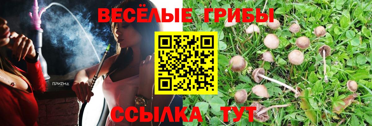 Галлюциногенные грибы MAGIC MUSHROOMS Асино
